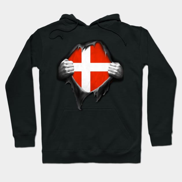 Denmark Flag DNA Roots Dannish Flag Hoodie by nikolayjs